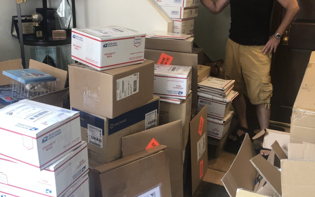 All Comic-Con@Home Orders Have Been Shipped!